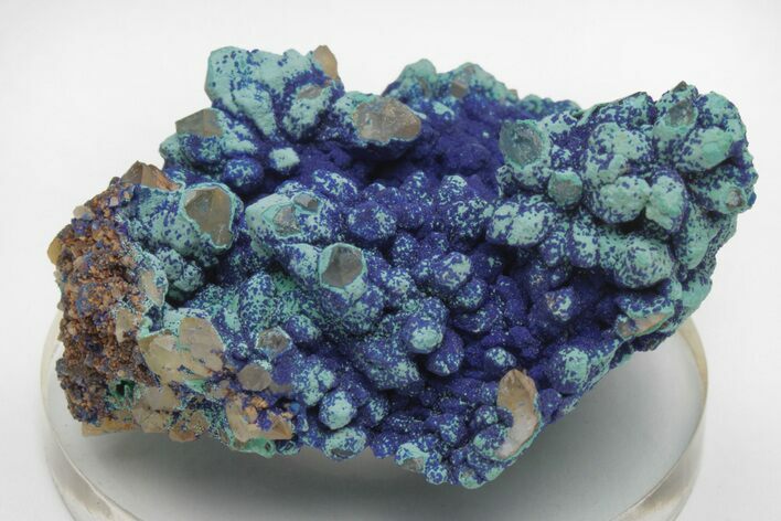 Vibrant Malachite and Azurite on Quartz Crystals - China #213831